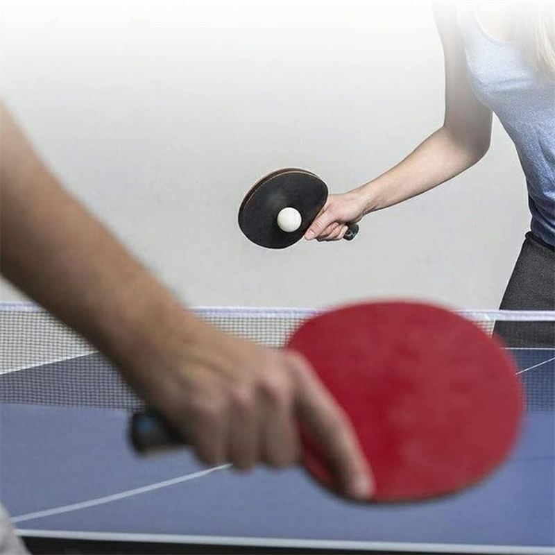 1-3-5PCS Portable Table Tennis - Table Tennis No 1 评论和价格