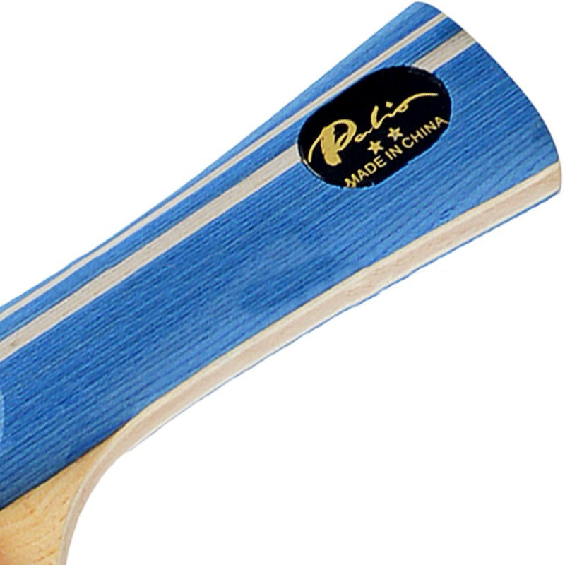 PALIO 2 STAR Table Tennis Rack - Table Tennis History 评论和价格